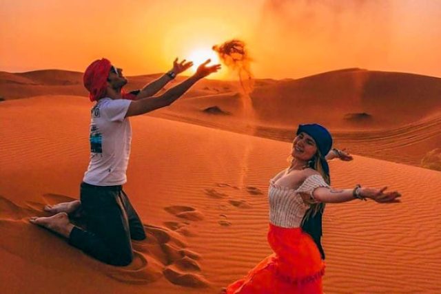 Desert Camel Desert Camel