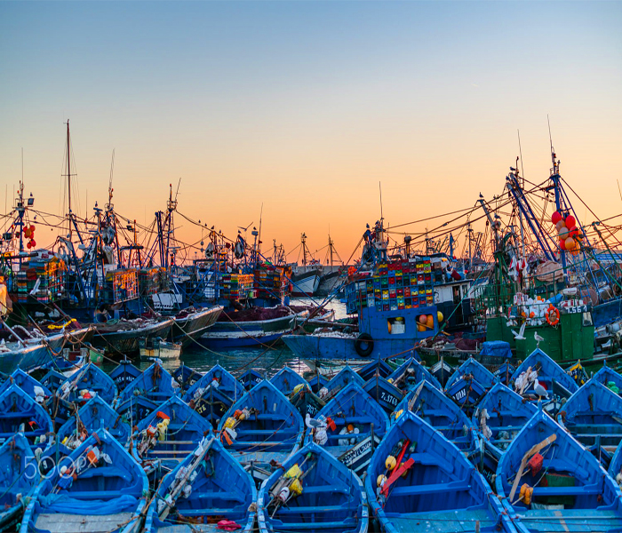 Day Trip To Essaouira, Atlantic coast From Marrakech Day Trip To Essaouira, Atlantic coast From Marrakech