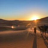 3 Days Tour From Ouarzazate To Fes Via Merzouga Desert