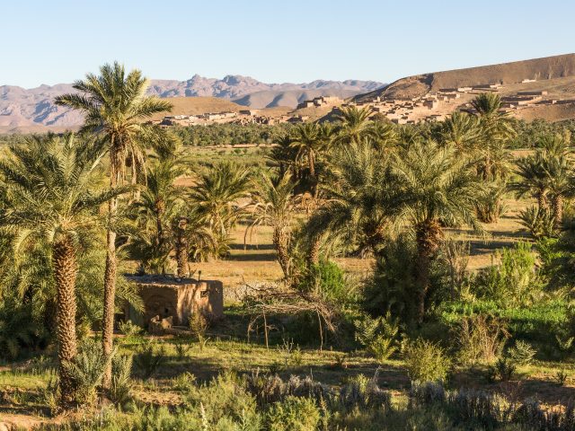 Day Trip To Draa Valley And Agdz From Ouarzazate