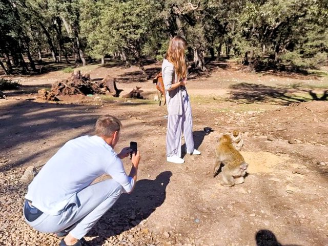Day Trip To Middle Atlas And Cedar Forest From Fes