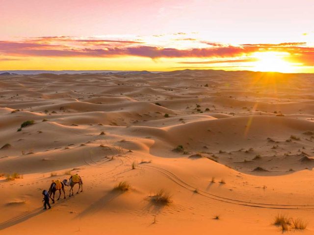 Day Trip To Tinfu Dunes Close To Zagora From Ouarzazate